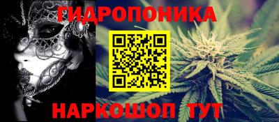 ECSTASY Будённовск