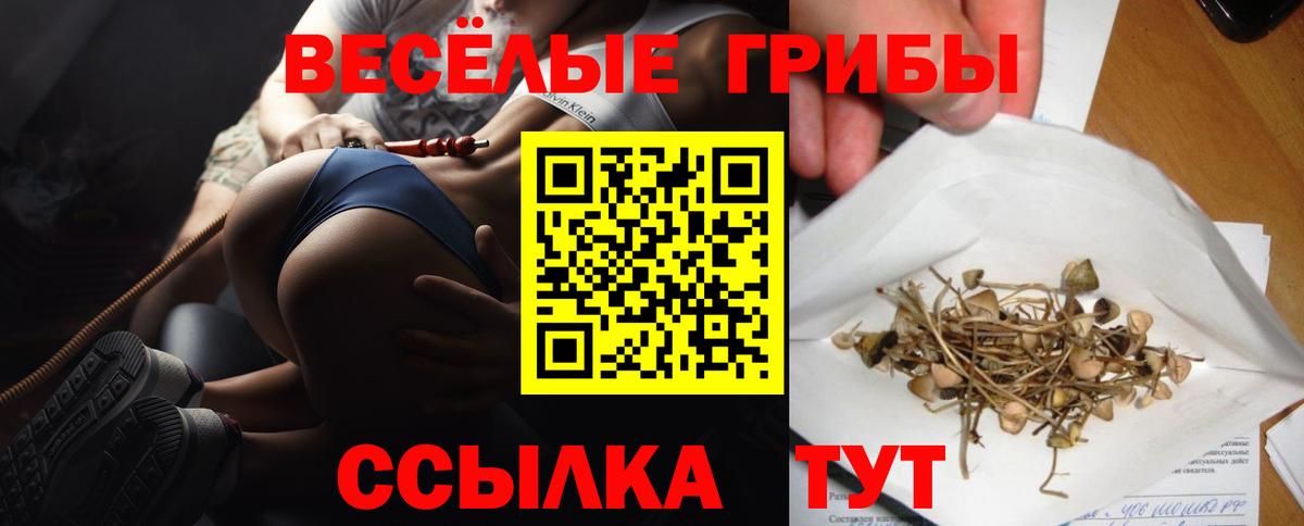 Галлюциногенные грибы мицелий  Псилоцибиновые грибы ЛСД  Темрюк  Вход с VPN 